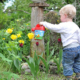 Gardening With Small Children