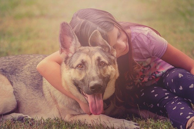 kid and puppy